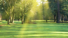 Krienen-Griffith Funeral Home